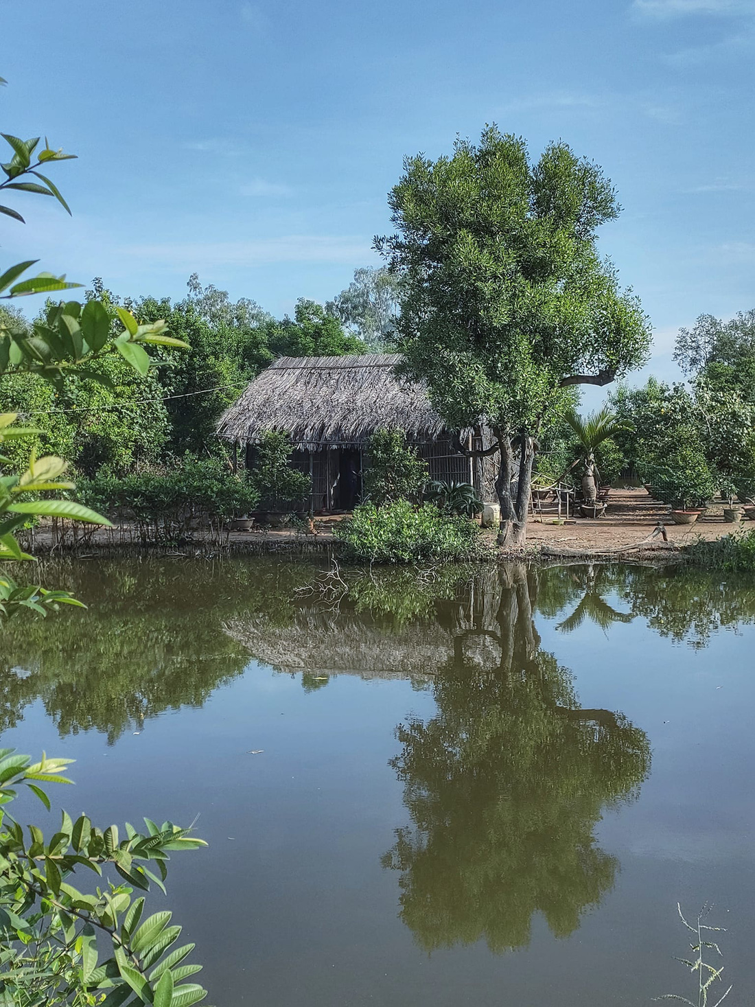 Nhà tôi trên bến sông - Ảnh 1.