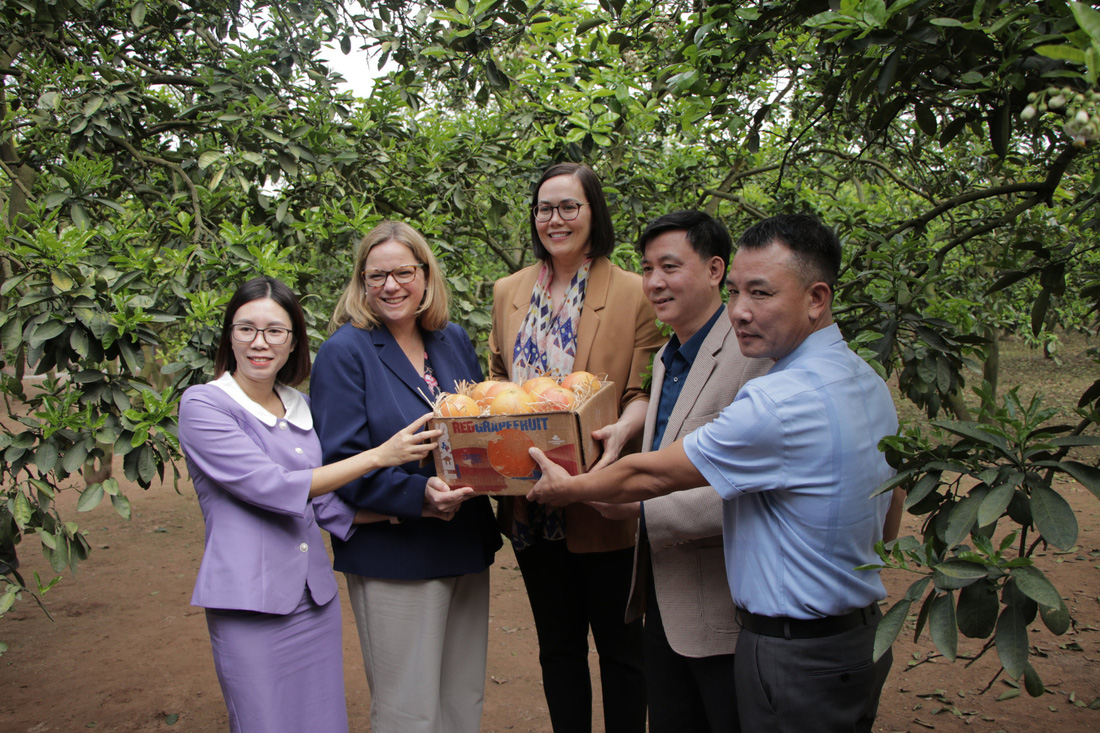Đại diện nhà vườn và địa phương nhận món quà đặc biệt từ hai quan chức Mỹ là những quả bưởi ruột đỏ được trồng tại bang Texas - Ảnh: DUY LINH