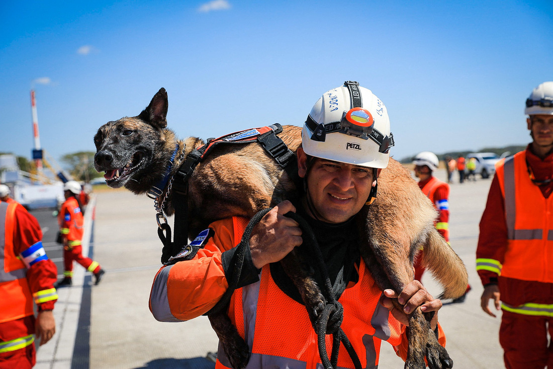 El Salvador cũng gửi chó nghiệp vụ đến làm nhiệm vụ cứu hộ sau động đất - Ảnh: REUTERS