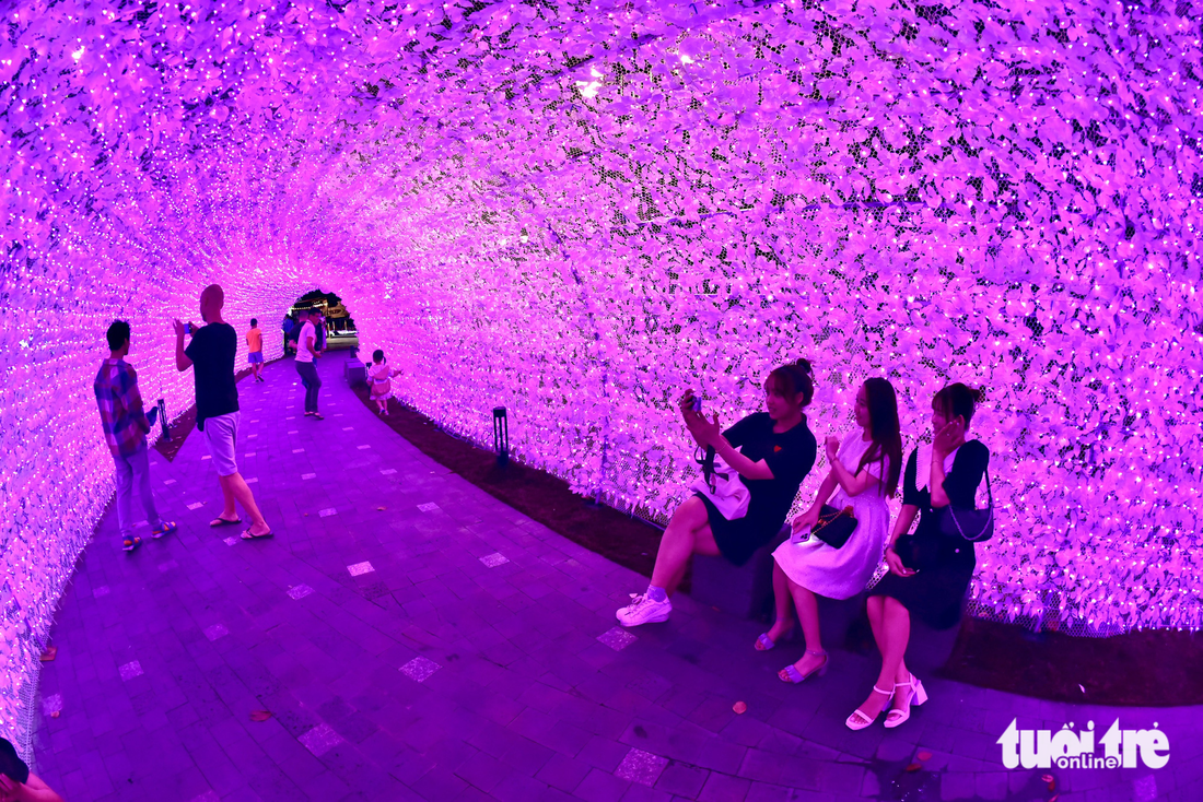 Bến Bạch Đằng bừng sáng với 500.000 đèn LED kết thành hồ sen, vườn hoa Sakura - Ảnh 5.