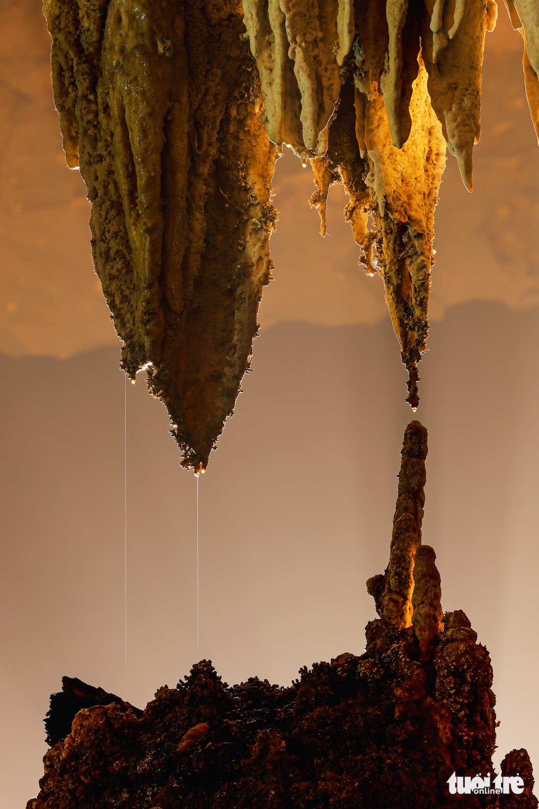 Ngây ngất với thạch nhũ trong hang động triệu năm ở Quảng Bình - Ảnh 4.
