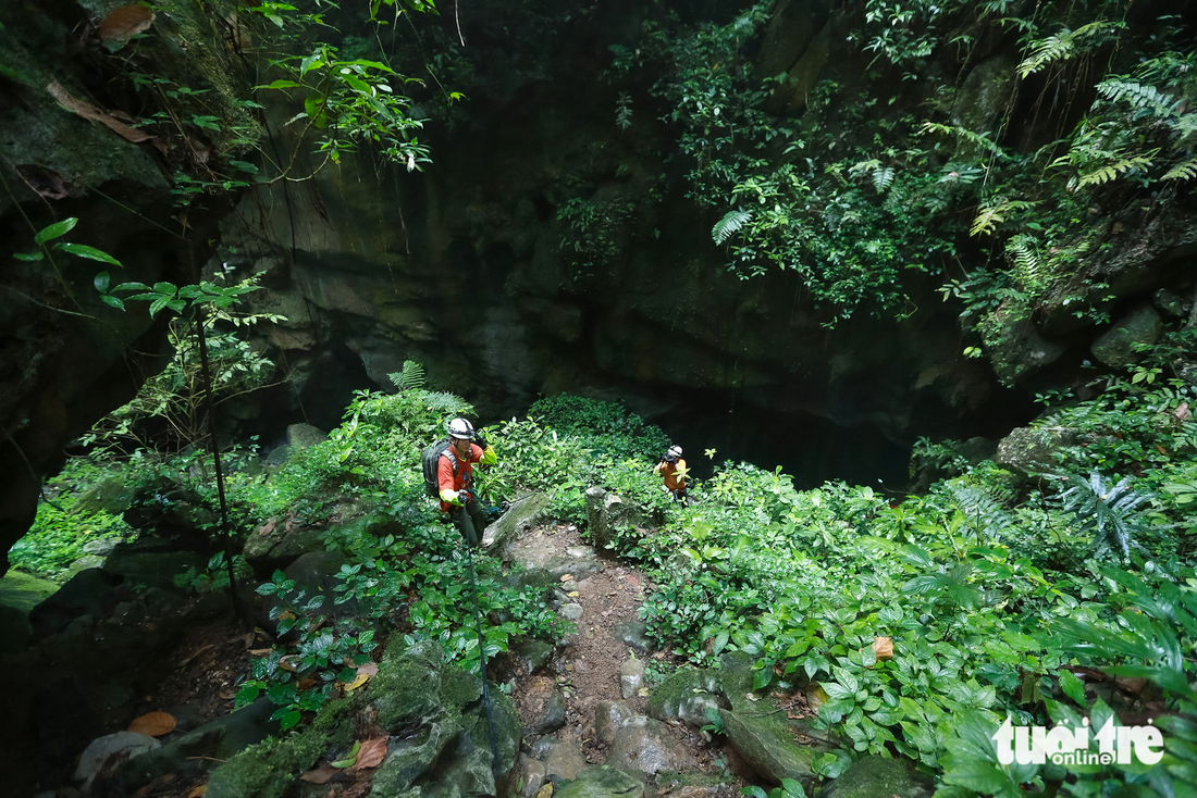Ngây ngất với thạch nhũ trong hang động triệu năm ở Quảng Bình - Ảnh 2.