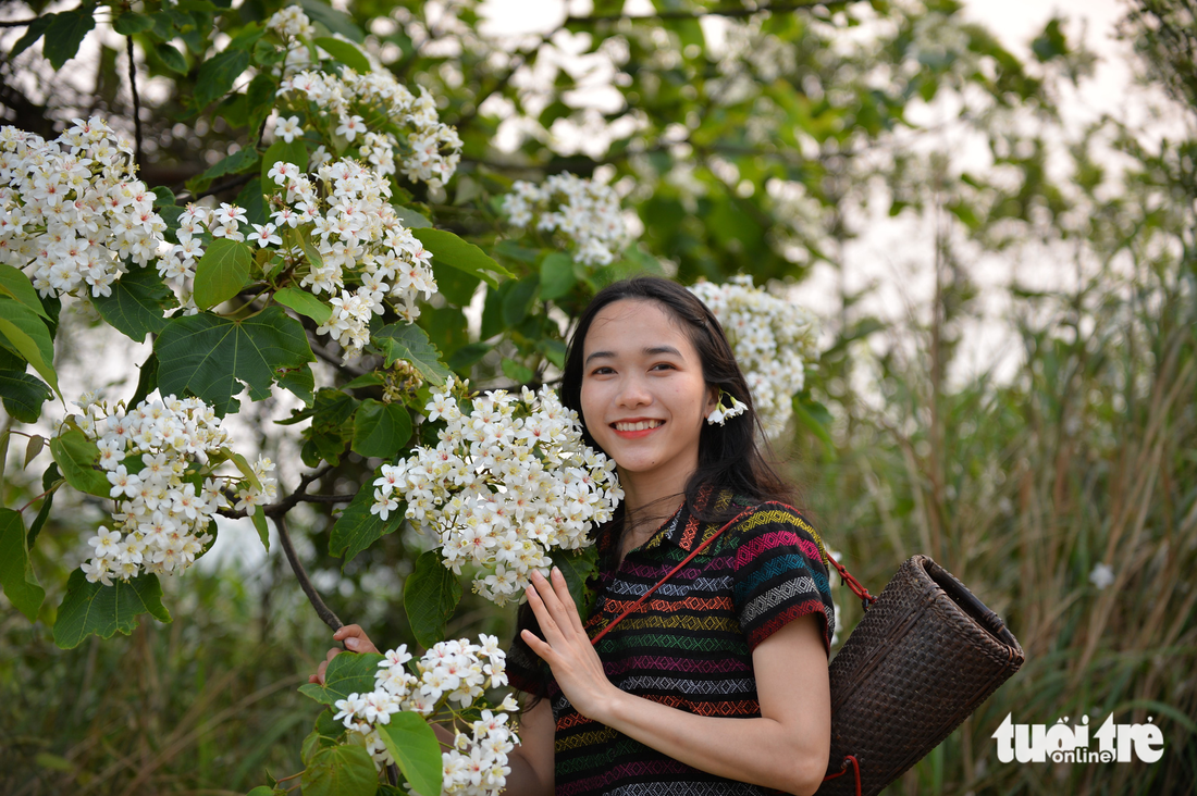 Tháng tư về, hoa trẩu nở trắng triền núi đại ngàn Trường Sơn - Ảnh 5.