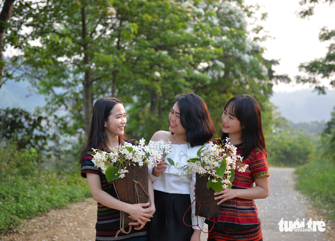 Tháng tư về, hoa trẩu nở trắng triền núi đại ngàn Trường Sơn - Ảnh 6.