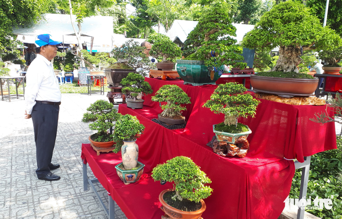 Ngắm hàng ngàn chậu bonsai độc lạ, có chậu cả tỉ đồng - Ảnh 1.