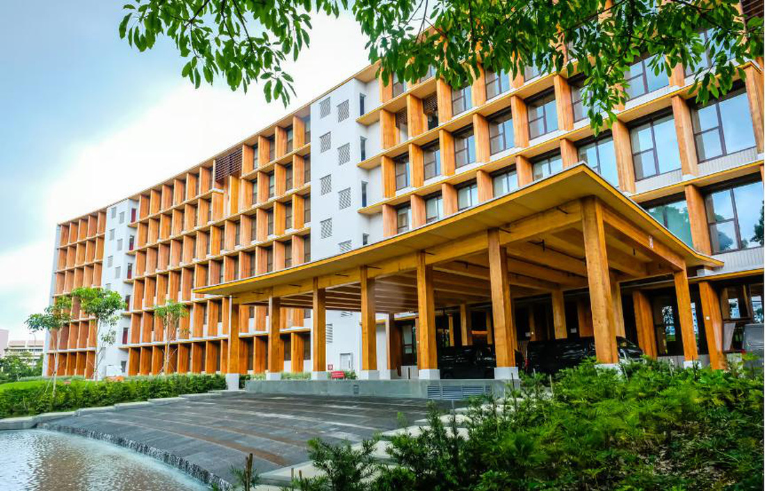 Tòa nhà gỗ lớn nhất châu Á ở Đại học Công nghệ Nanyang Singapore - Ảnh 1.