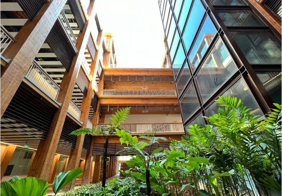 Tòa nhà gỗ lớn nhất châu Á ở Đại học Công nghệ Nanyang Singapore - Ảnh 3.