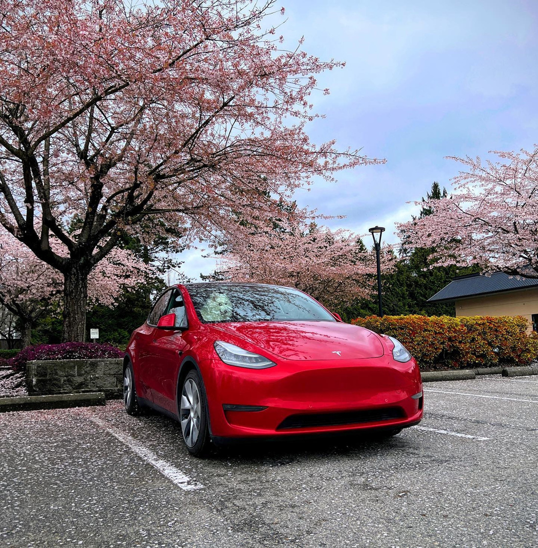 Sống trong xe Tesla: 3 tháng chỉ hết 700.000 đồng tiền điện - Ảnh 2.
