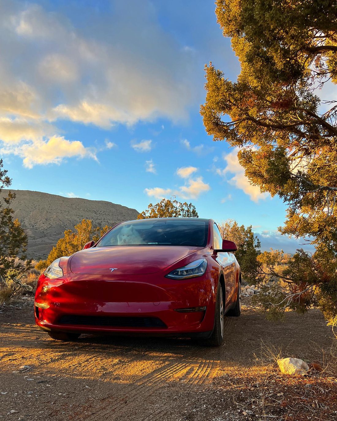 Sống trong xe Tesla: 3 tháng chỉ hết 700.000 đồng tiền điện - Ảnh 14.