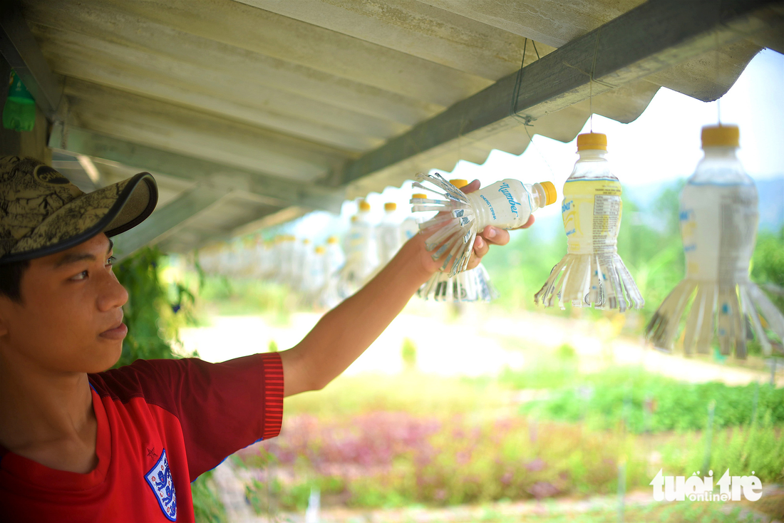 Trang trí mái nhà chung bằng những vật liệu phế thải