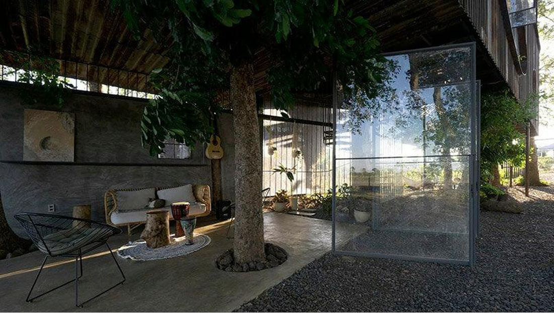 Ngôi nhà trên cây xà cừ ở Việt Nam được tạp chí Ý giới thiệu - Ảnh 4.