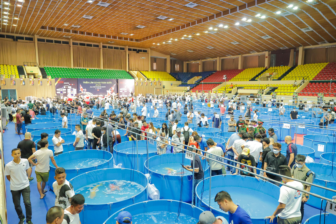 Gần 600 con cá koi tham gia cuộc thi ‘hoa hậu’ cá koi - Ảnh 5.