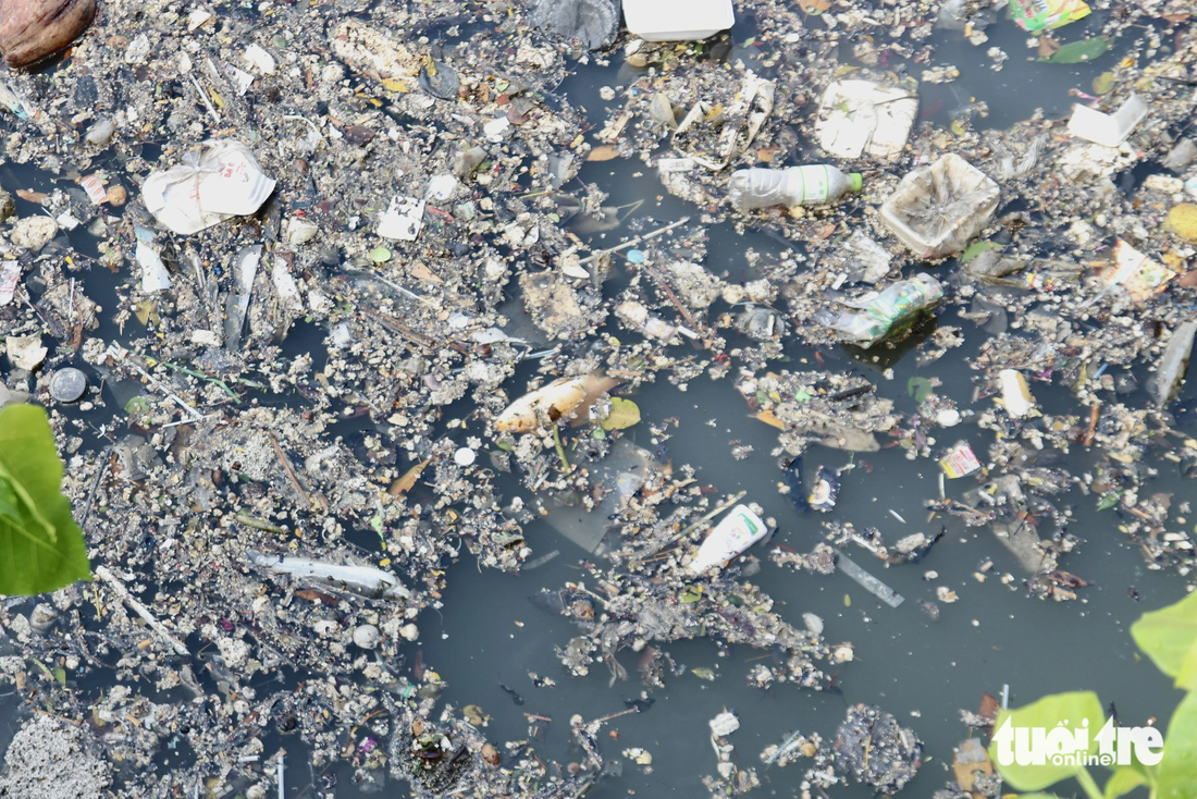 Rác thải, cá nổi dày đặc trên kênh Nhiêu Lộc - Thị Nghè sau cơn mưa lớn - Ảnh 6.