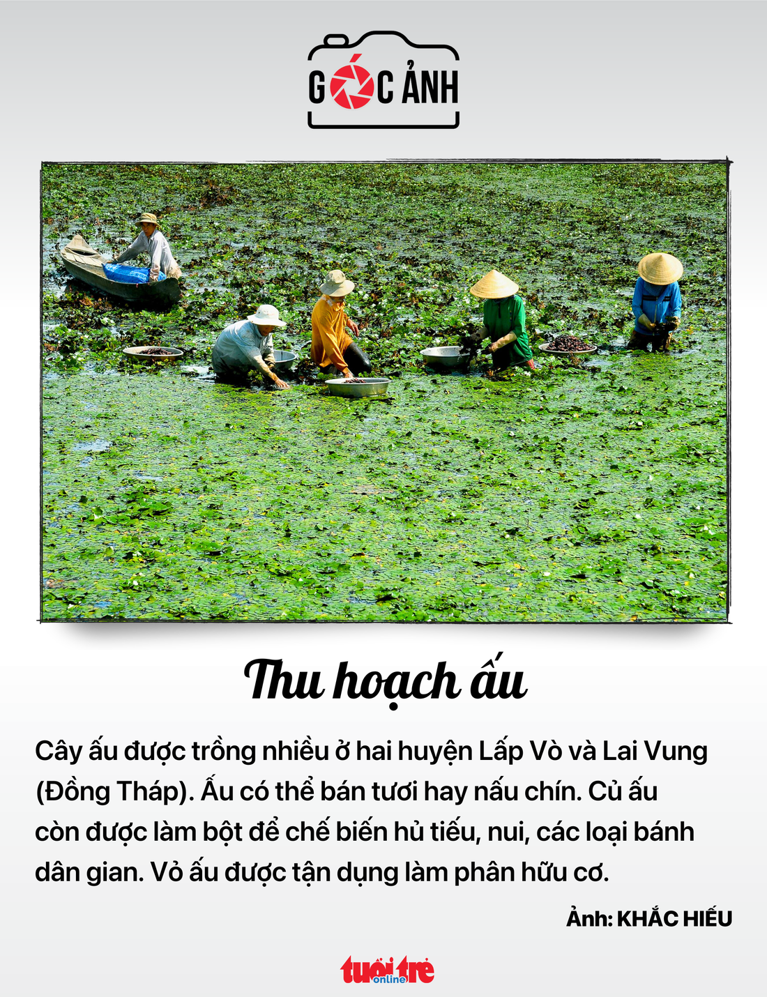Tin tức sáng 2-7: Du lịch Việt thu 343.000 tỉ đồng; Hà Nội chưa chốt ngày tăng giá nước - Ảnh 11.