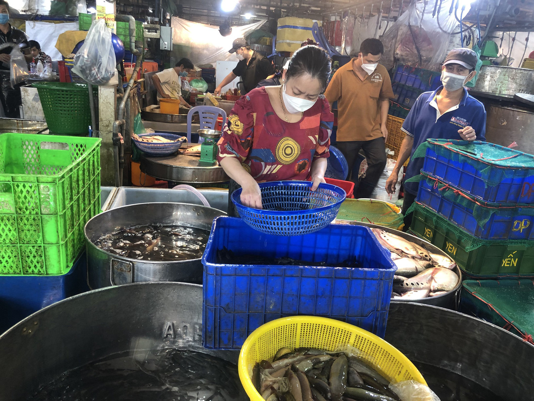 Bình Điền được xem là chợ đầu mối lớn nhất nước, trong đó thế mạnh của chợ là kinh doanh thủy hải sản - Ảnh: N.TRÍ