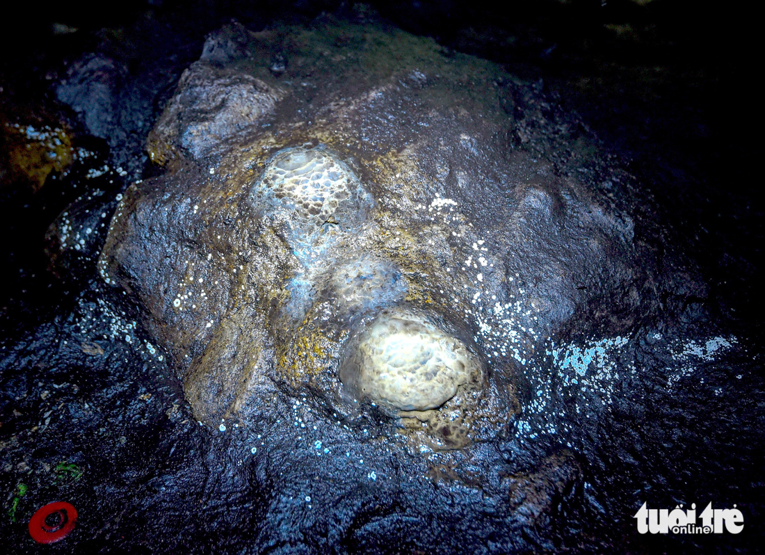 Trong hang động có nhiều cấu tạo đặc trưng cho quá trình phun trào của núi lửa như các ngấn dung nham, hốc sụt