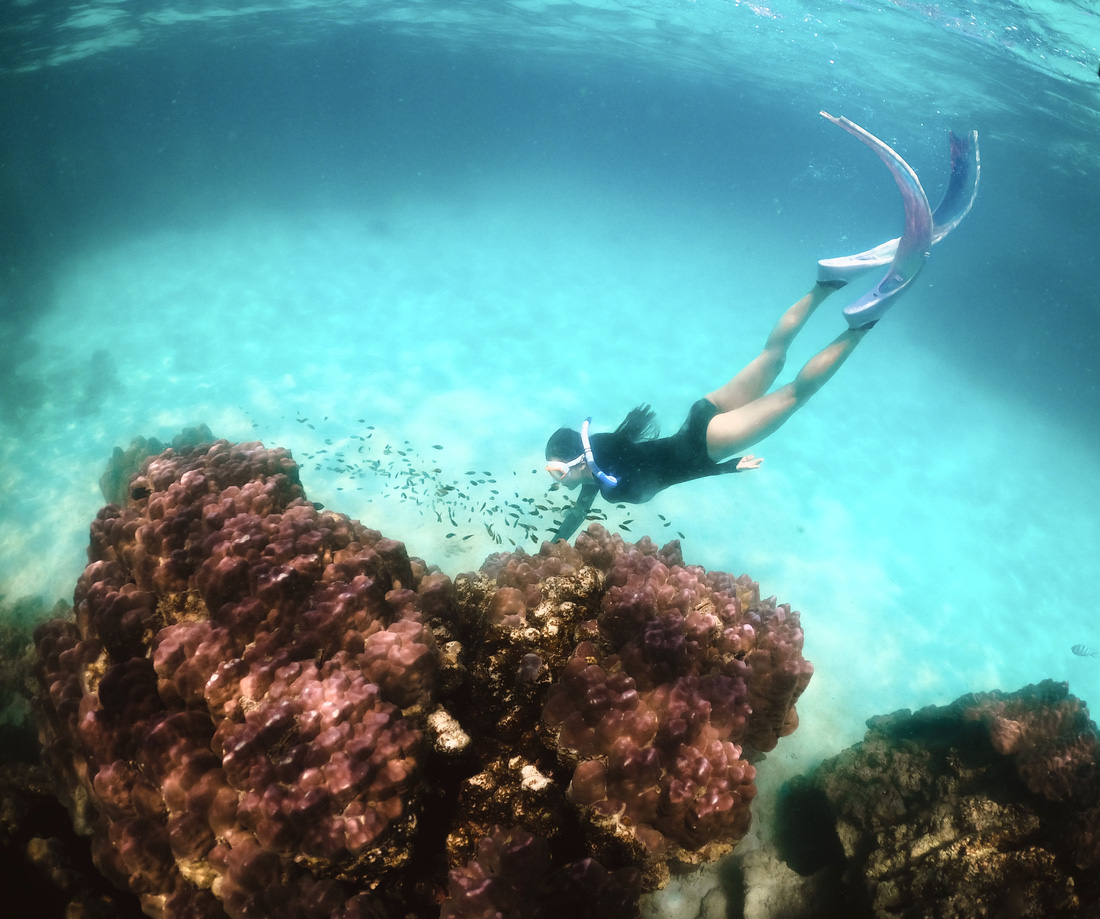 Môn chơi lặn biển tự do ở Phú Quốc, khách du lịch thỏa sức khám phá và ngắm nhìn khung cảnh tuyệt đẹp dưới đáy đại dương - Ảnh: CHÍ CÔNG