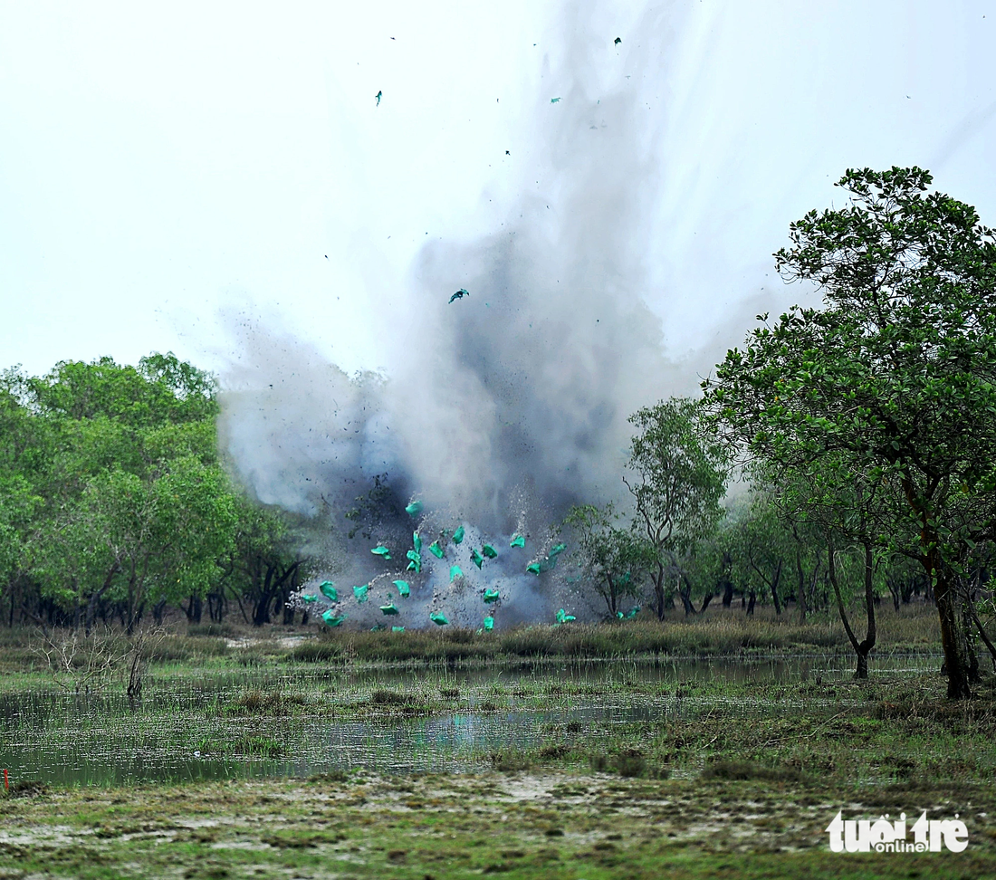 Một vụ phá hủy bom mìn ở khu rừng Quảng Trị