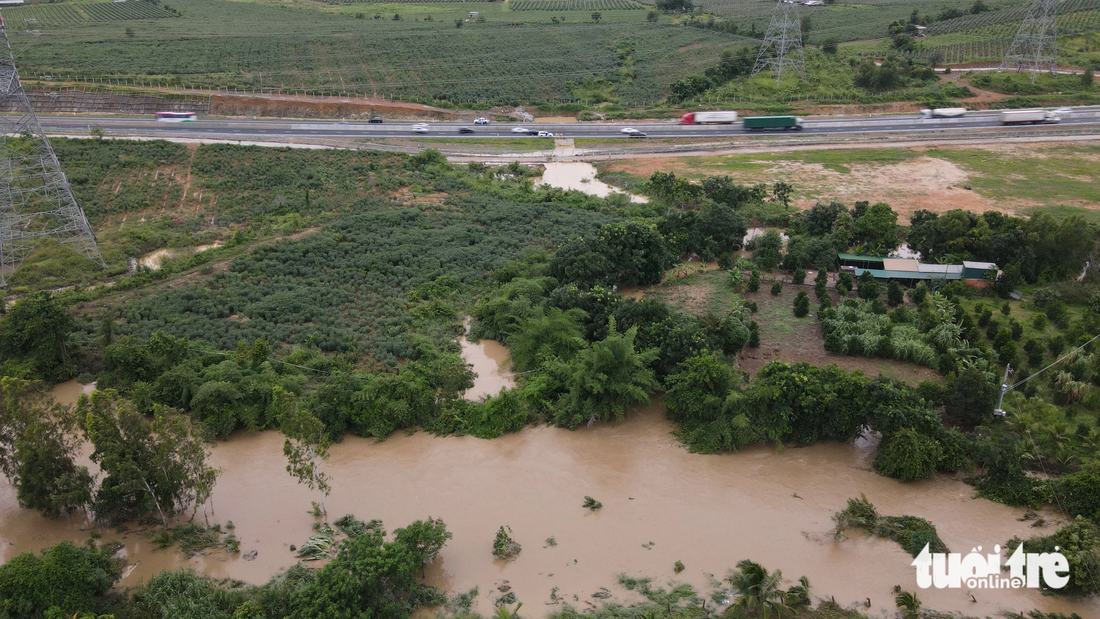 Lúc sáng 30-7, nước sông Phan đang chảy xiết từ thượng nguồn về, men theo con suối dâng ngược trở lại cao tốc Phan Thiết - Dầu Giây - Ảnh: ĐỨC TRONG