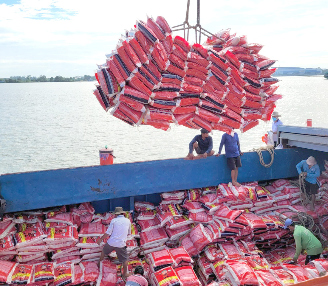 Công nhân cảng Mỹ Thới, TP Long Xuyên, An Giang đưa gạo lên tàu xuất khẩu - Ảnh: BỬU ĐẤU