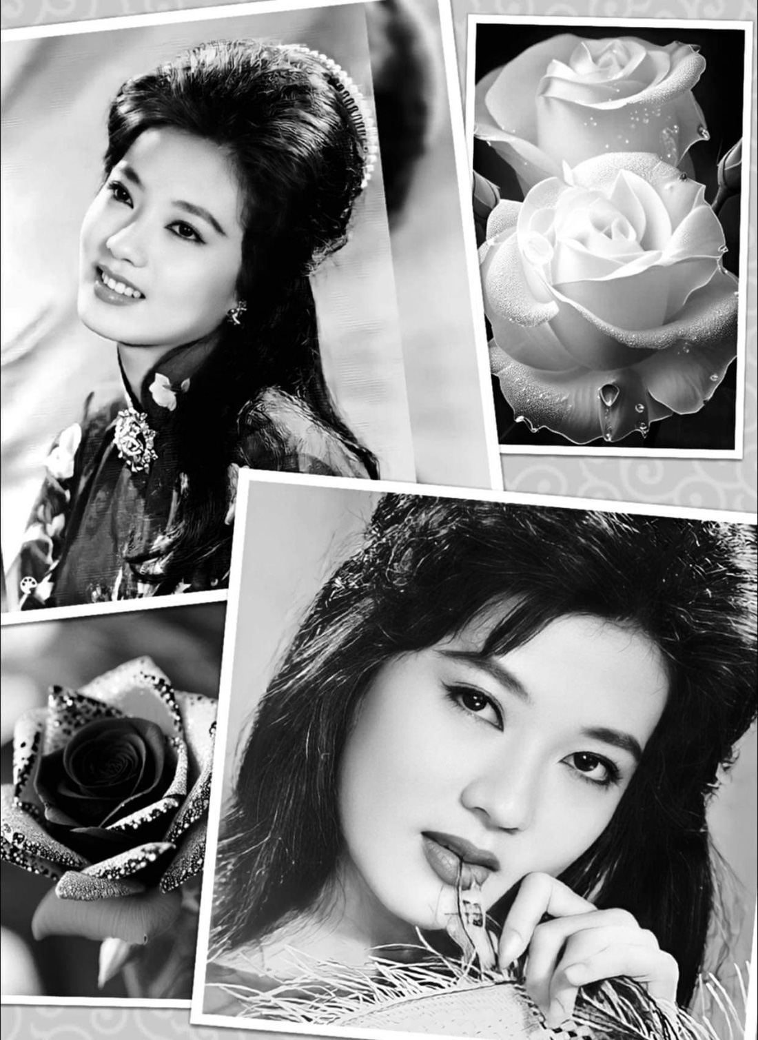Hình ảnh &quot;Nữ hoàng sân khấu&quot; Thanh Nga quá đẹp bên những nụ hồng được Hữu Châu, Hà Linh đăng trên trang cá nhân lại khiến bao trái tim khán giả yêu mến bà thổn thức