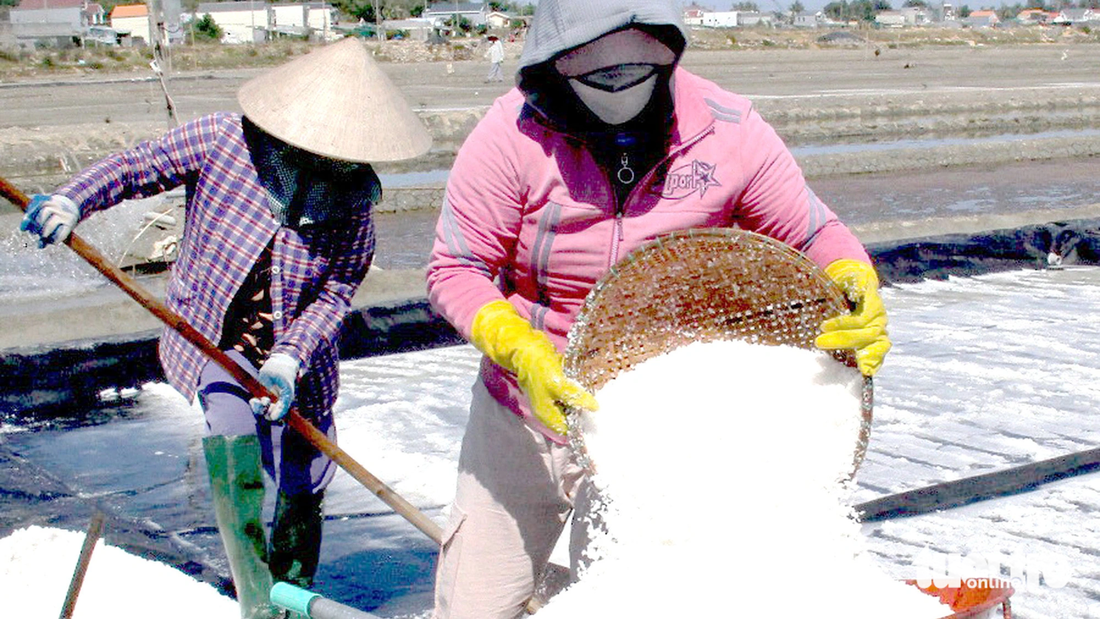 Muối Sa Huỳnh được chế biến đóng gói xuất khẩu với thương hiệu Sahu