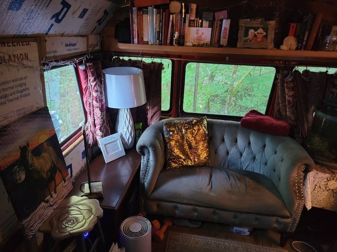 Phòng khách có cửa sổ lấy ánh sáng, ghế sofa cổ điển - Ảnh: Craigslist