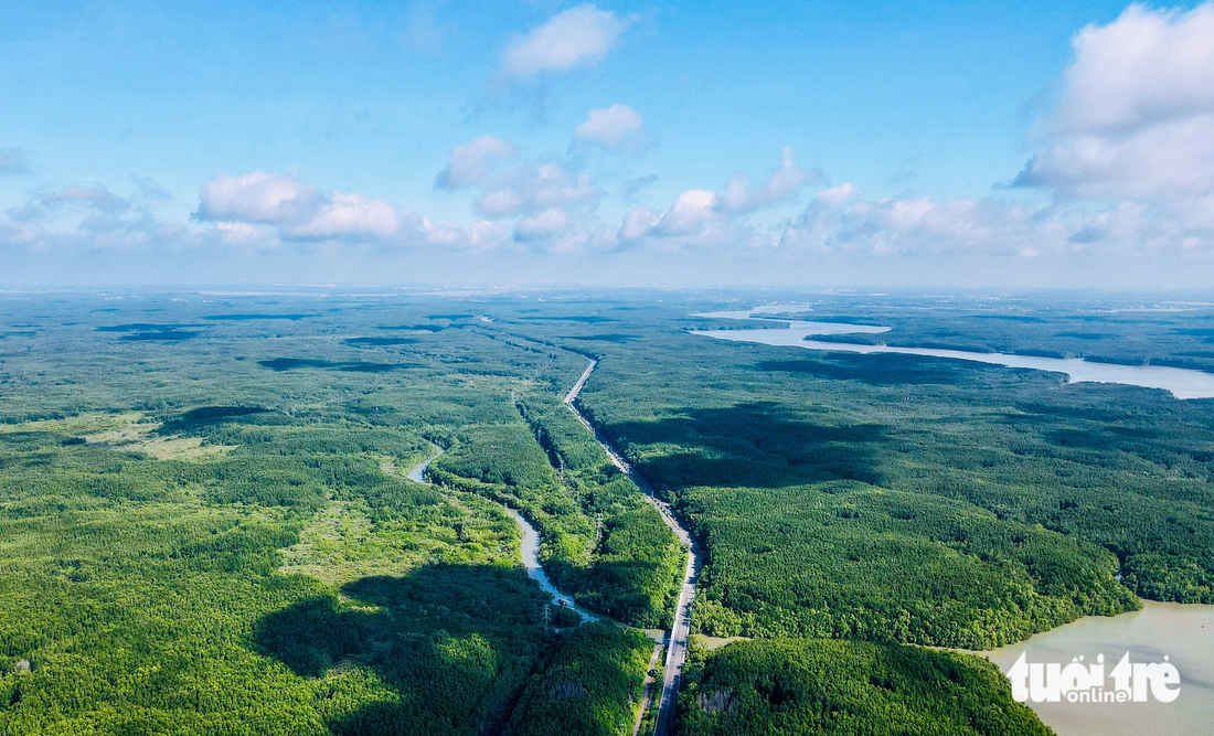 Một góc rừng phòng hộ Cần Giờ đang được đề xuất thành khu Ramsar. Ảnh chụp đường Rừng Sác chạy giữa cánh rừng xanh, bên cạnh là sông Dần Xây đoạn gần Ban quản lý rừng phòng hộ Cần Giờ - Ảnh: LÊ PHAN