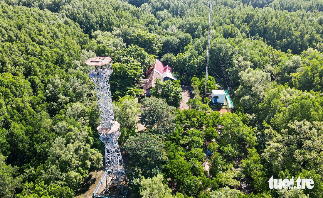 Tháp quan sát bên trong Ban quản lý rừng phòng hộ Cần Giờ để người dân, du khách có thể ngắm cảnh rừng từ trên cao. Theo đề xuất, khu Ramsar Cần Giờ hình thành có xu hướng phát triển về phía Tiền Giang và Long An - Ảnh: LÊ PHAN