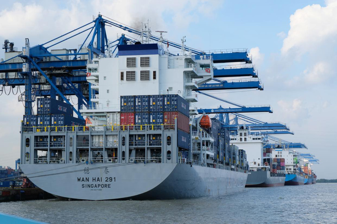 Xuất khẩu hàng hóa tại cảng Cát Lái, TP Thủ Đức - Ảnh: QUANG ĐỊNH