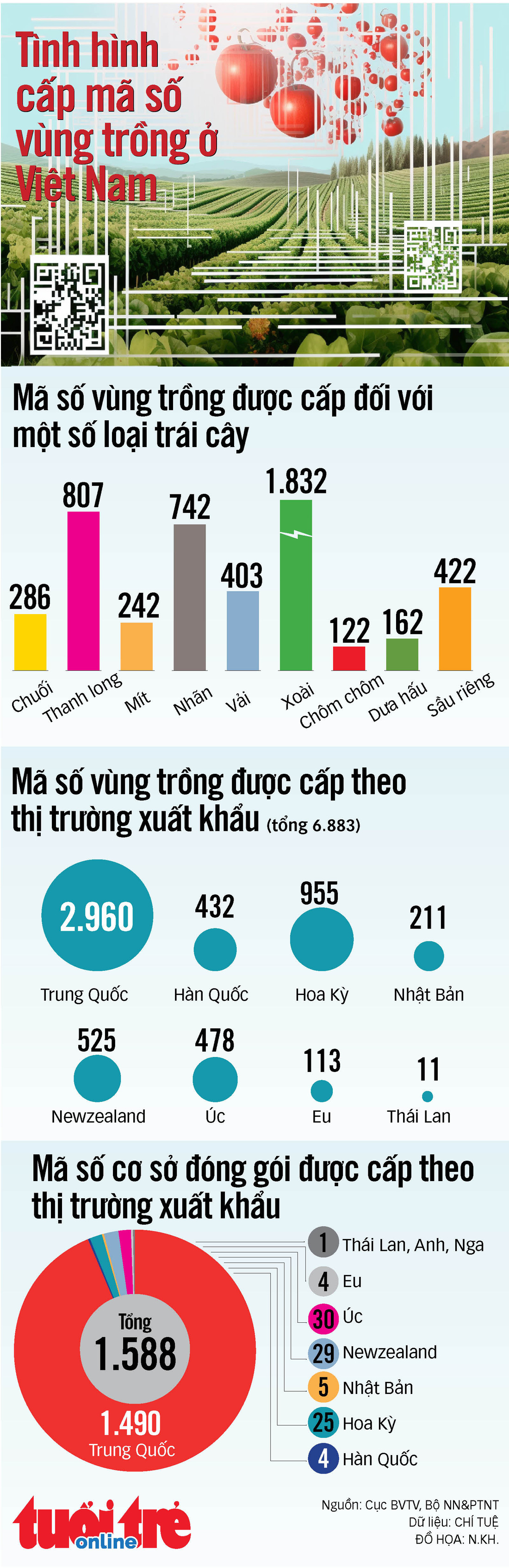 Có bao nhiêu mã số vùng trồng trái cây ở Việt Nam đã được cấp?- Ảnh 1.