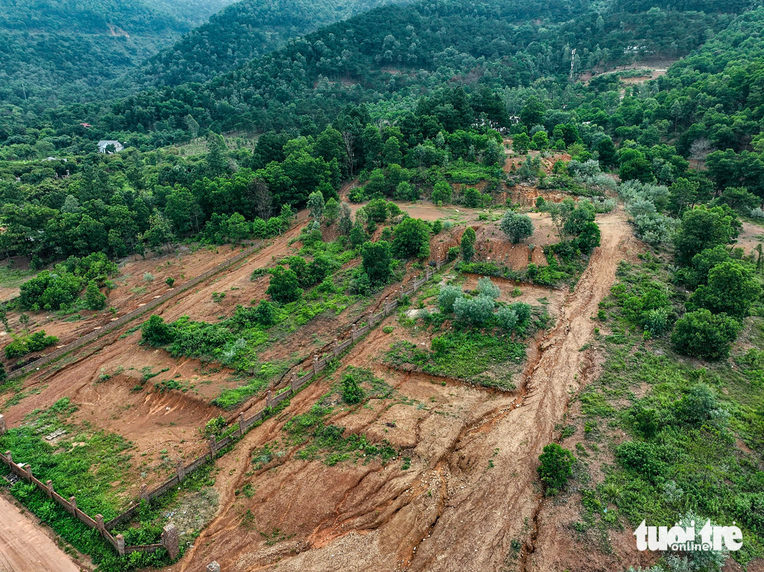 Những mảng rừng được phân theo từng lô, có dấu hiệu san gạt trơ trọi sỏi đá tại khu vực đồi Dõng Chum (núi Hàm Lợn) thuộc xã Minh Phú, Sóc Sơn - Ảnh: NAM TRẦN