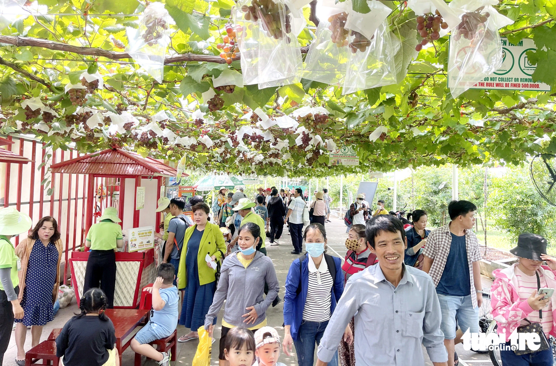 Nông trại Suối Tiên Farm mang đến một không gian xanh mát đầy mới lạ trong lòng thành phố, thu hút du khách đến tham quan