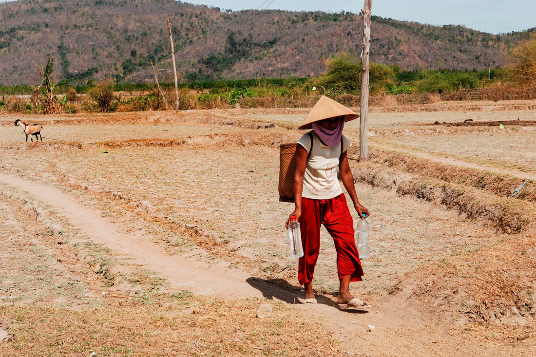Mỗi khi vào mùa khô, nhất là sau Tết Nguyên đán, người dân các xã vùng cao huyện Hàm Thuận Nam, tỉnh Bình Thuận đối mặt với nhiều khó khăn do khan hiếm nước - Ảnh: NGÔ ĐÌNH HÒA