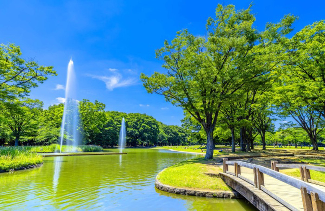 Công viên Yoyogi nổi tiếng với không gian xanh mát - Ảnh: The Gate