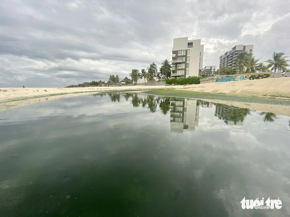 Nước thải màu xanh rêu thành hục lớn trên bãi tắm Sơn Thủy (quận Ngũ Hành Sơn, TP Đà Nẵng) - Ảnh: TRƯỜNG TRUNG