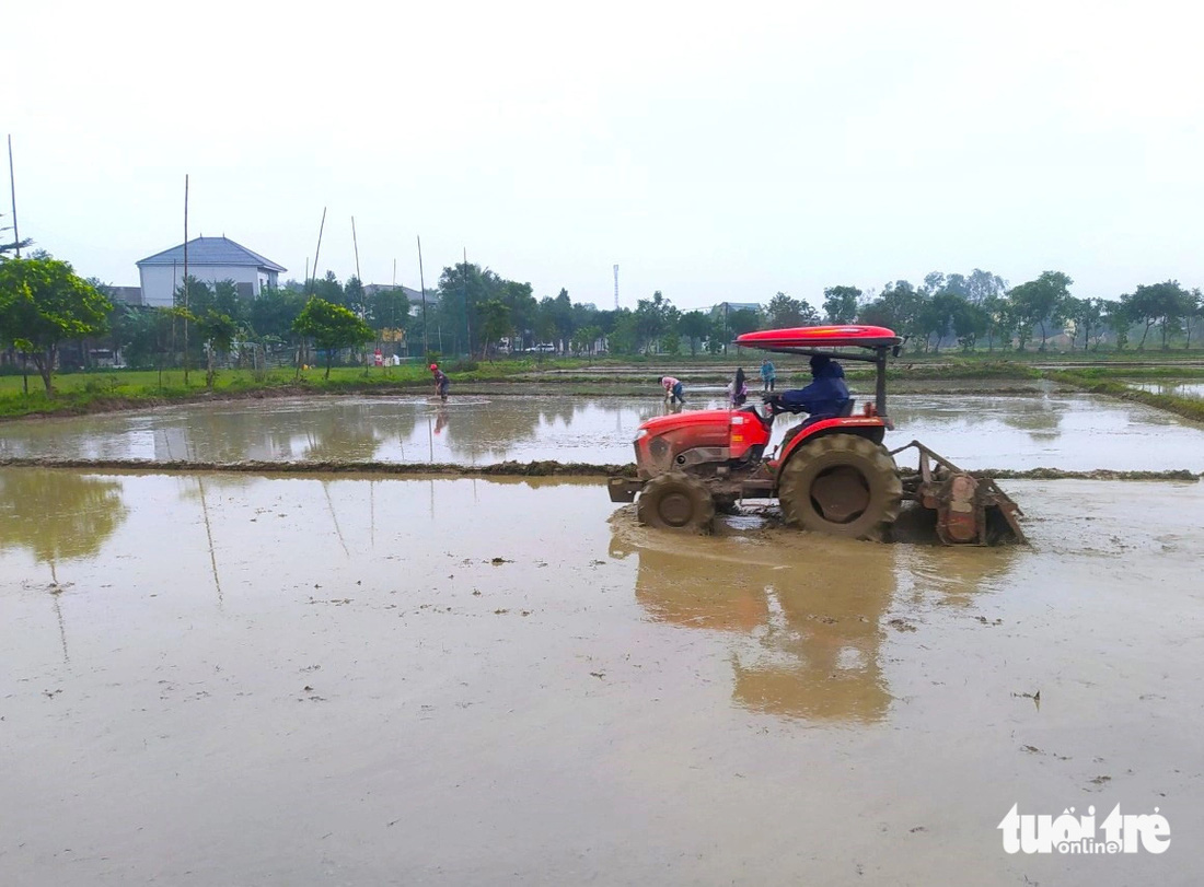 Máy móc hoạt động trên cánh đồng ở phường Thạch Quý, TP Hà Tĩnh - Ảnh: LÊ MINH