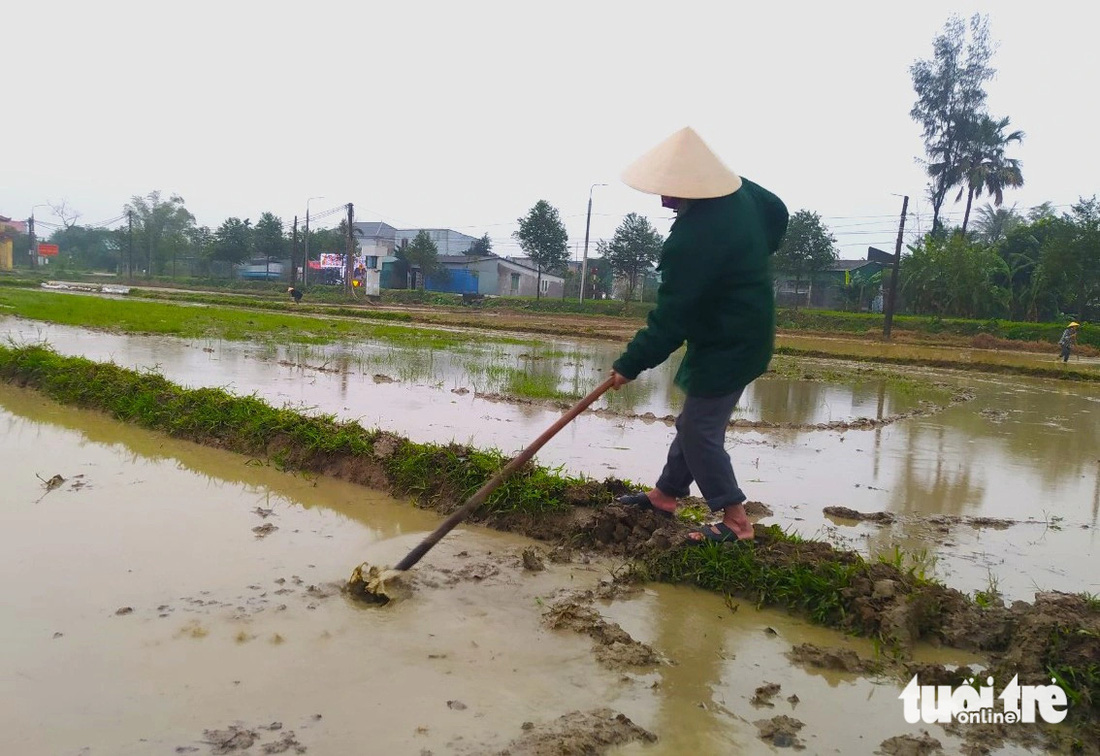 Người đàn ông ở phường Thạch Quý vén bờ, làm cỏ sau khi ruộng được máy cày đất xong - Ảnh: LÊ MINH