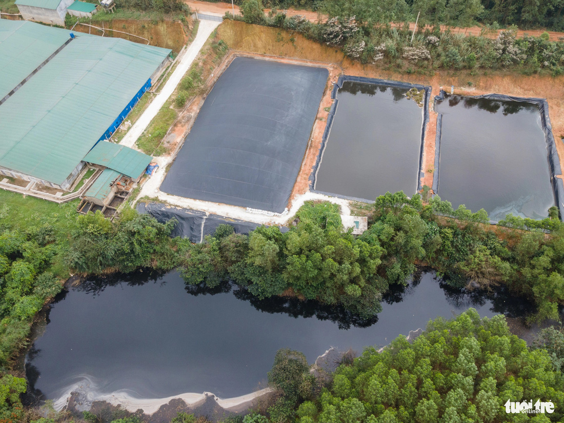 Hồ nước đen nhìn từ flycam phía sau trang trại heo khép kín - Ảnh: HOÀNG TÁO
