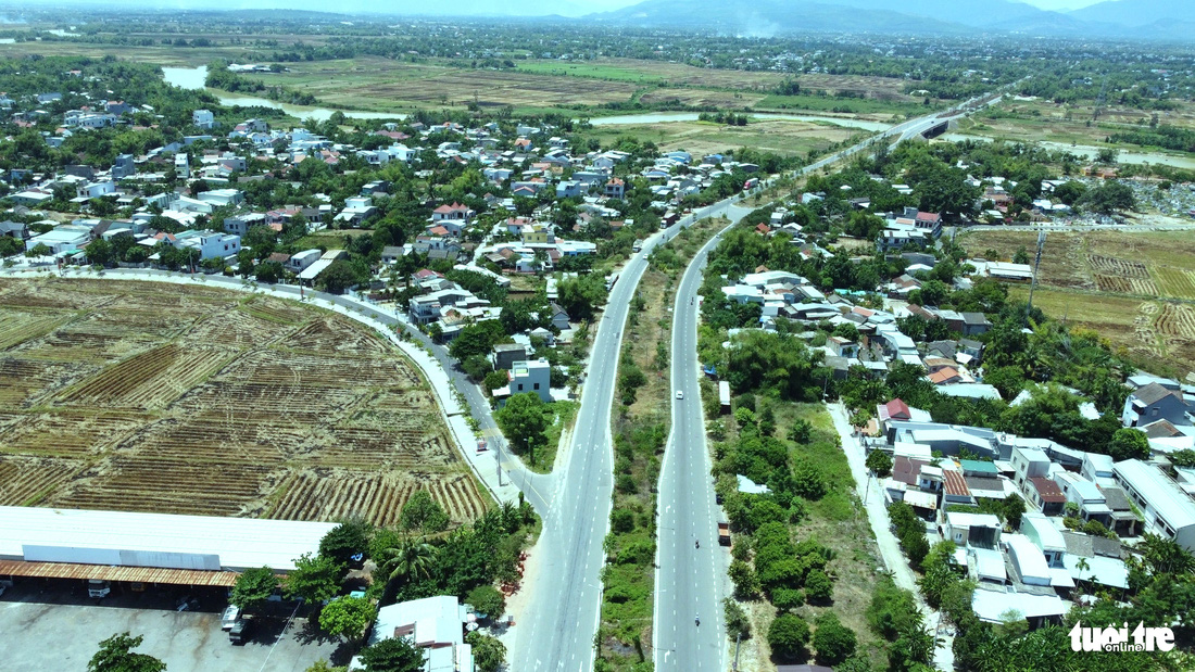 Cận cảnh cây xanh chết khô, trụi lủi như củi khô trên đường trăm tỉ ở Đà Nẵng - Ảnh 3.