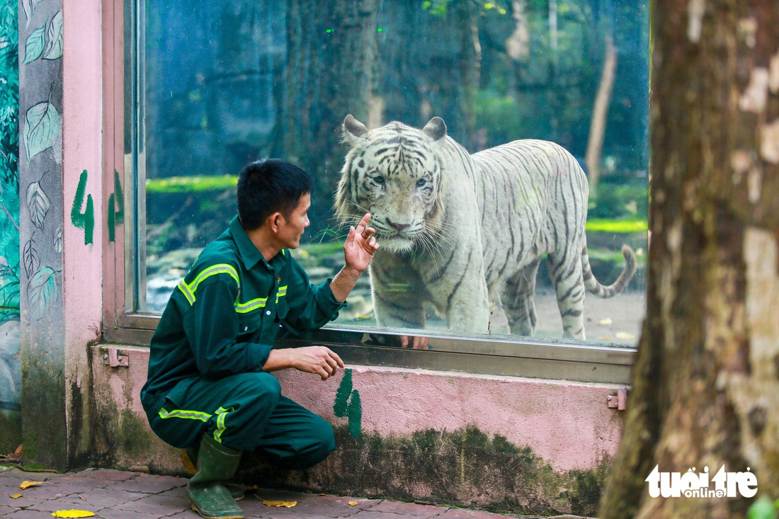 Thảo cầm viên Sai Gòn: Nơi hội tụ động vật quý hiếm và tình yêu của người dân  - Ảnh 6.