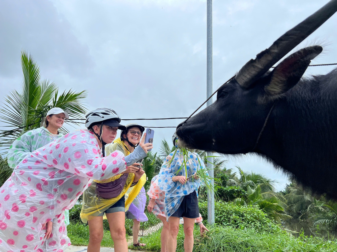 Phép màu từ du lịch nông nghiệp - Bài 2 - Trâu xịt nước hoa, dân ra sông đánh cá phục vụ khách - Ảnh 1.