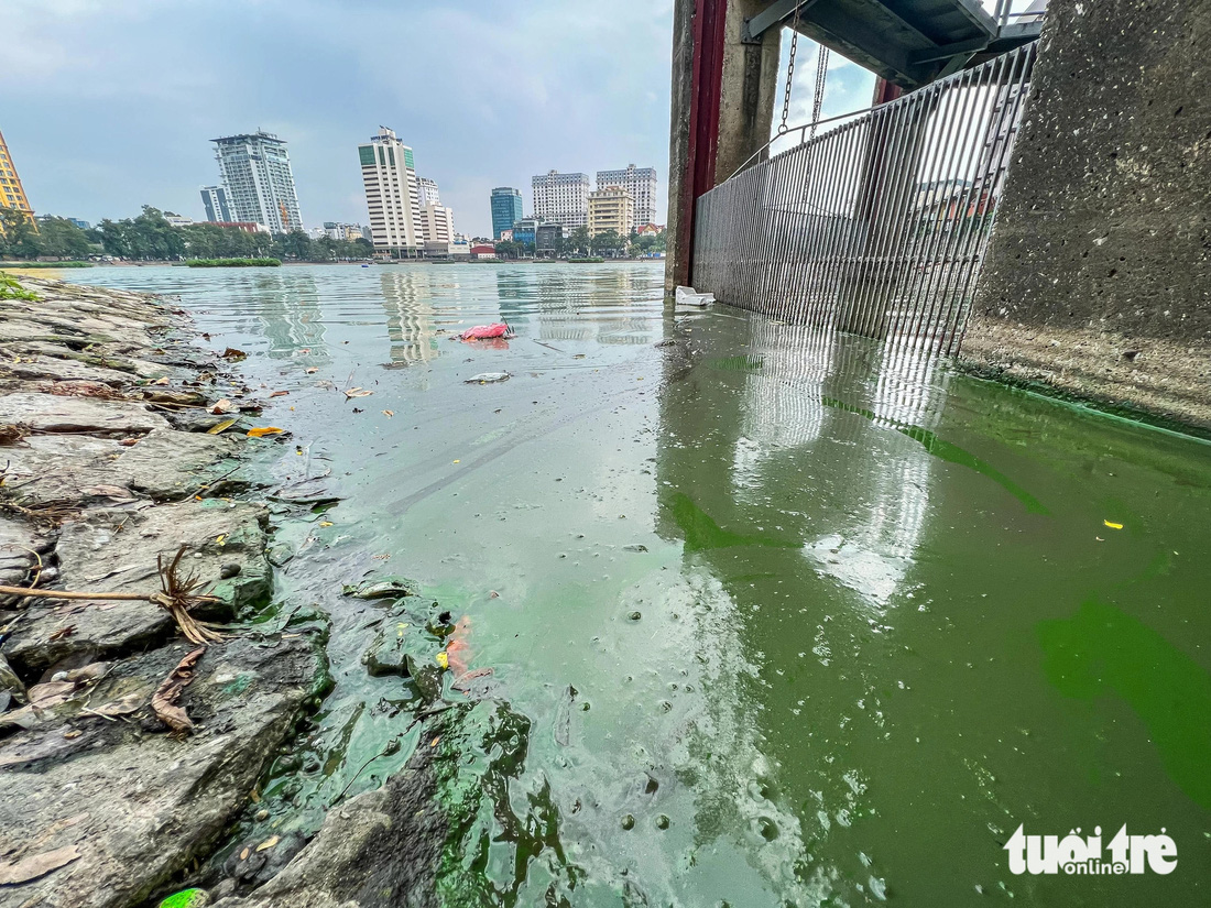 Không chỉ sông Tô Lịch, nhiều hồ lớn ở Hà Nội cũng đang cần 'cứu' vì ô nhiễm nghiêm trọng - Ảnh 10.