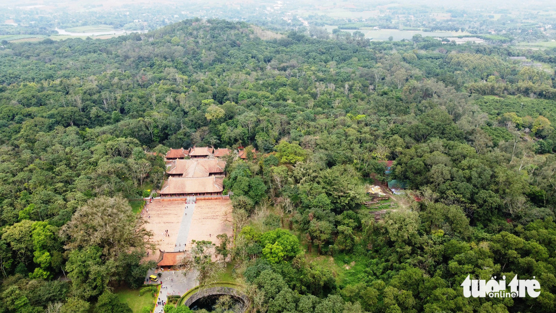 Thảm rừng xanh bao quanh di tích ở Lam Kinh - Ảnh: ĐOÀN CƯỜNG