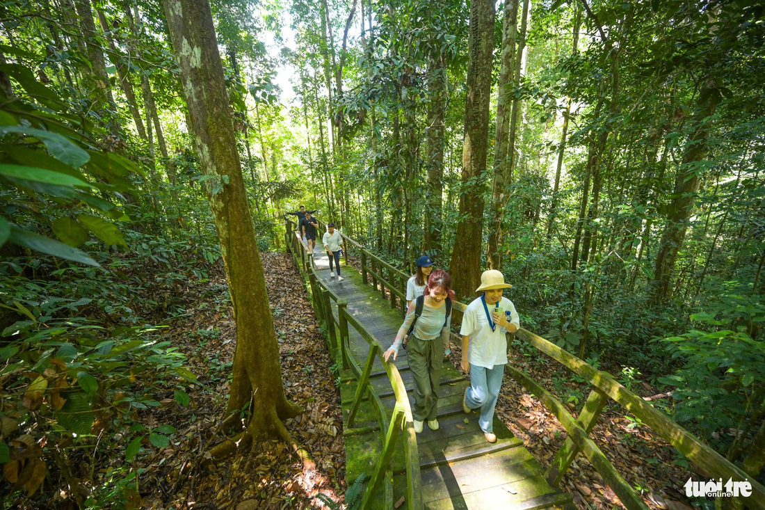 Tản bộ dưới những tán cây xanh bạt ngàn chỉ có ở Brunei