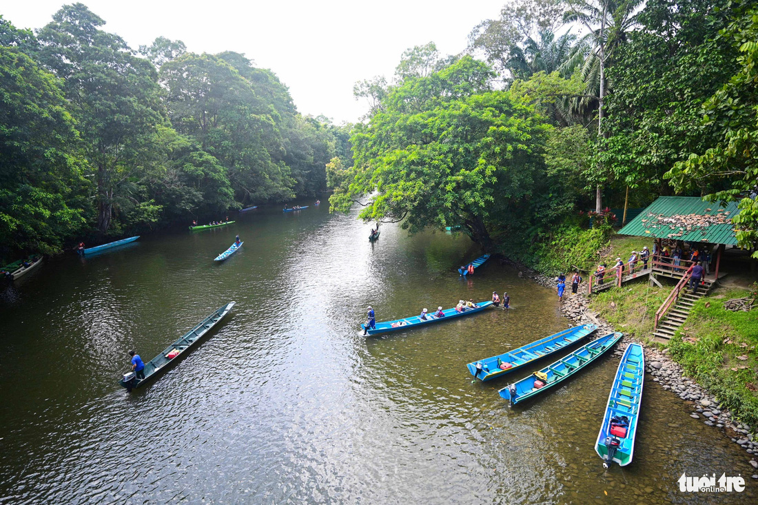 Dòng sông xanh mát dưới những tán cây cổ thụ mang lại không khí trong lành cho du khách