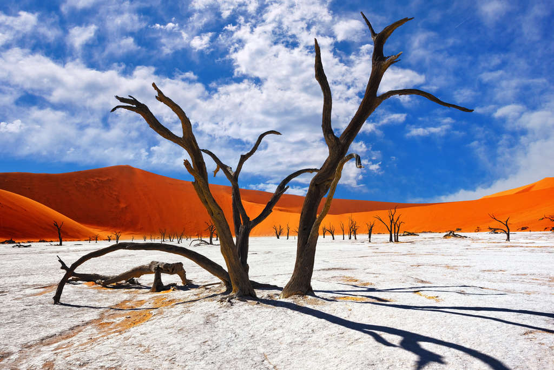 Khung cảnh chảo đất sét trắng được bao quanh bằng những cồn cát đỏ cao vút tạo nên sự tương phản màu sắc ấn tượng ở Dead Vlei - Ảnh: JUMIA TRAVEL