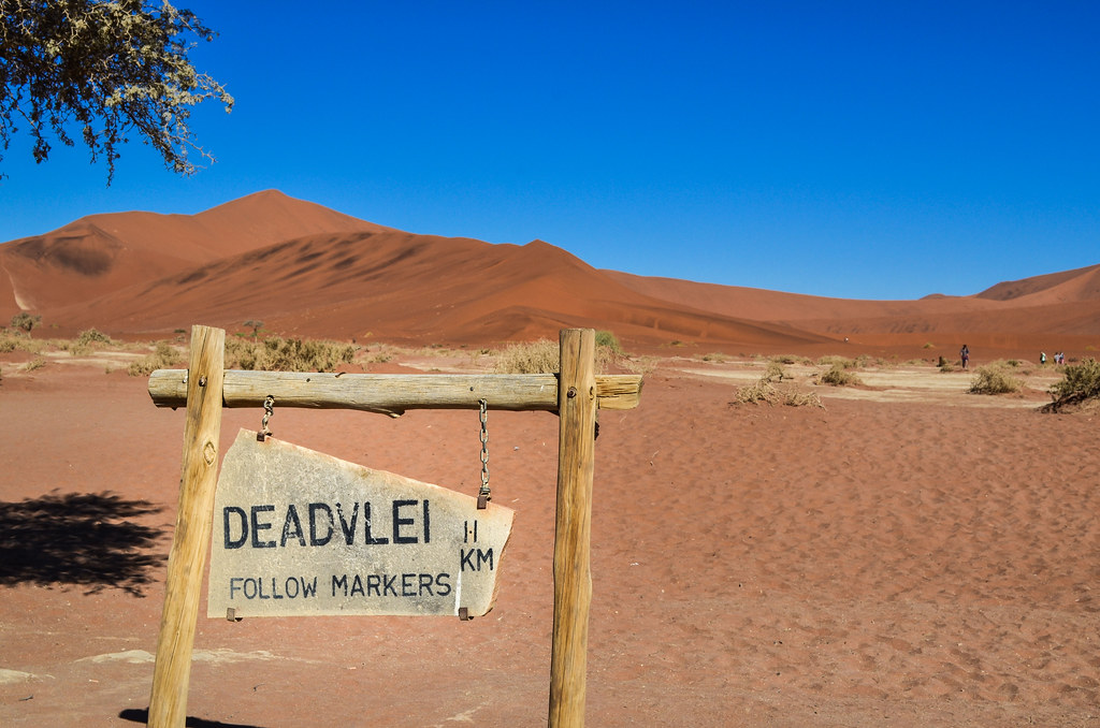 DeadVlei được bao quanh bởi những cồn cát cao nhất thế giới - Ảnh: FREEWHEELY