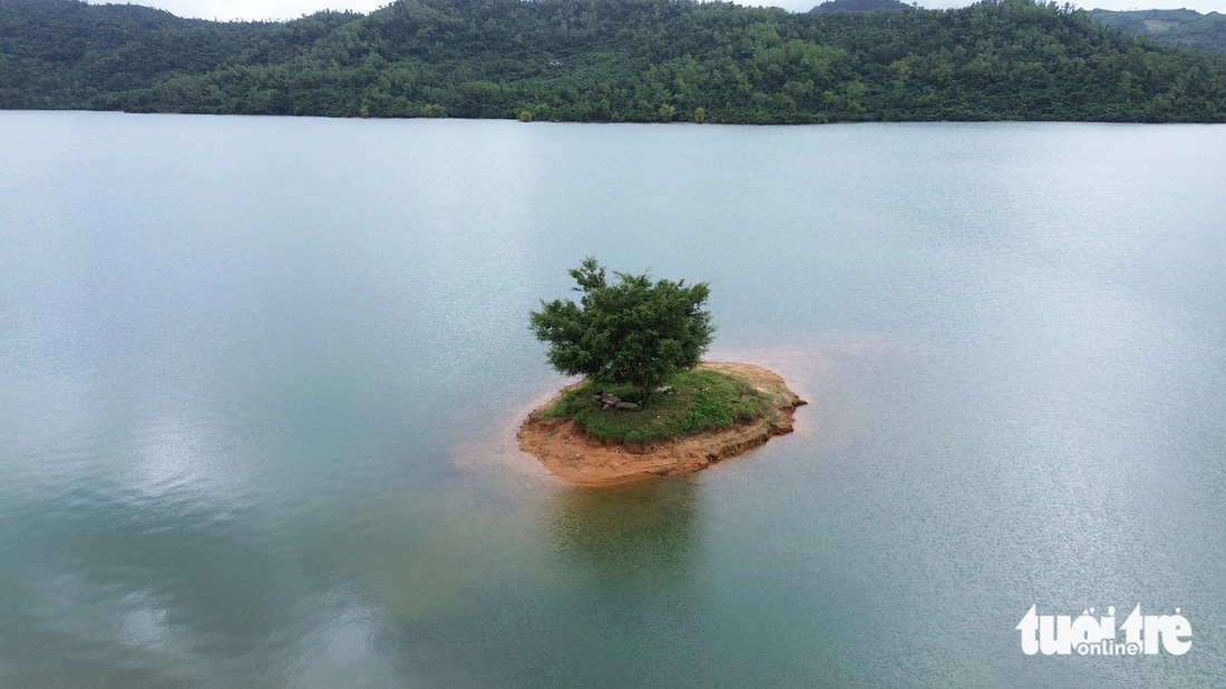 Cây cô đơn nằm trên ụ đất nổi lên giữa lòng hồ - Ảnh: LÊ TRUNG