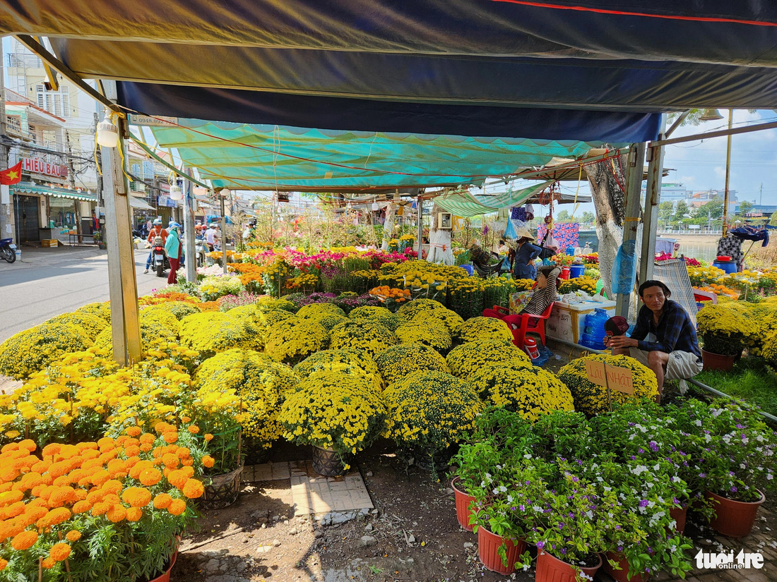 Nhiều tiểu thương bán hoa Tết ở miền Tây cho biết sức mua giảm mạnh, dù họ đã giảm giá các loại hoa - Ảnh: BỬU ĐẤU